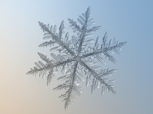 Image of a large snowflake